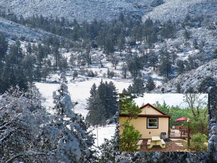 Historical Cabin In Julian Pet'S Okay! Exterior photo